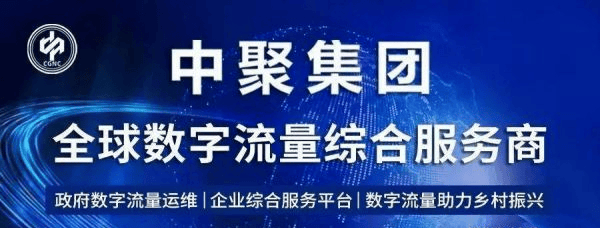 开云官方网站：合作共赢的未来：中聚企服与新晋一级服务商共拓市场新篇章(图5)