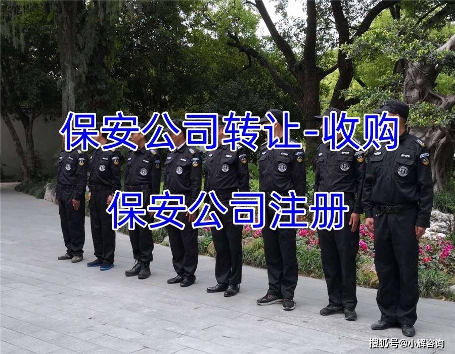 开云官方网站：保安服务公司注册详细条件与审批流程全攻略(图2)